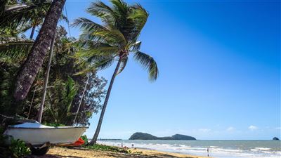 Palm Cove